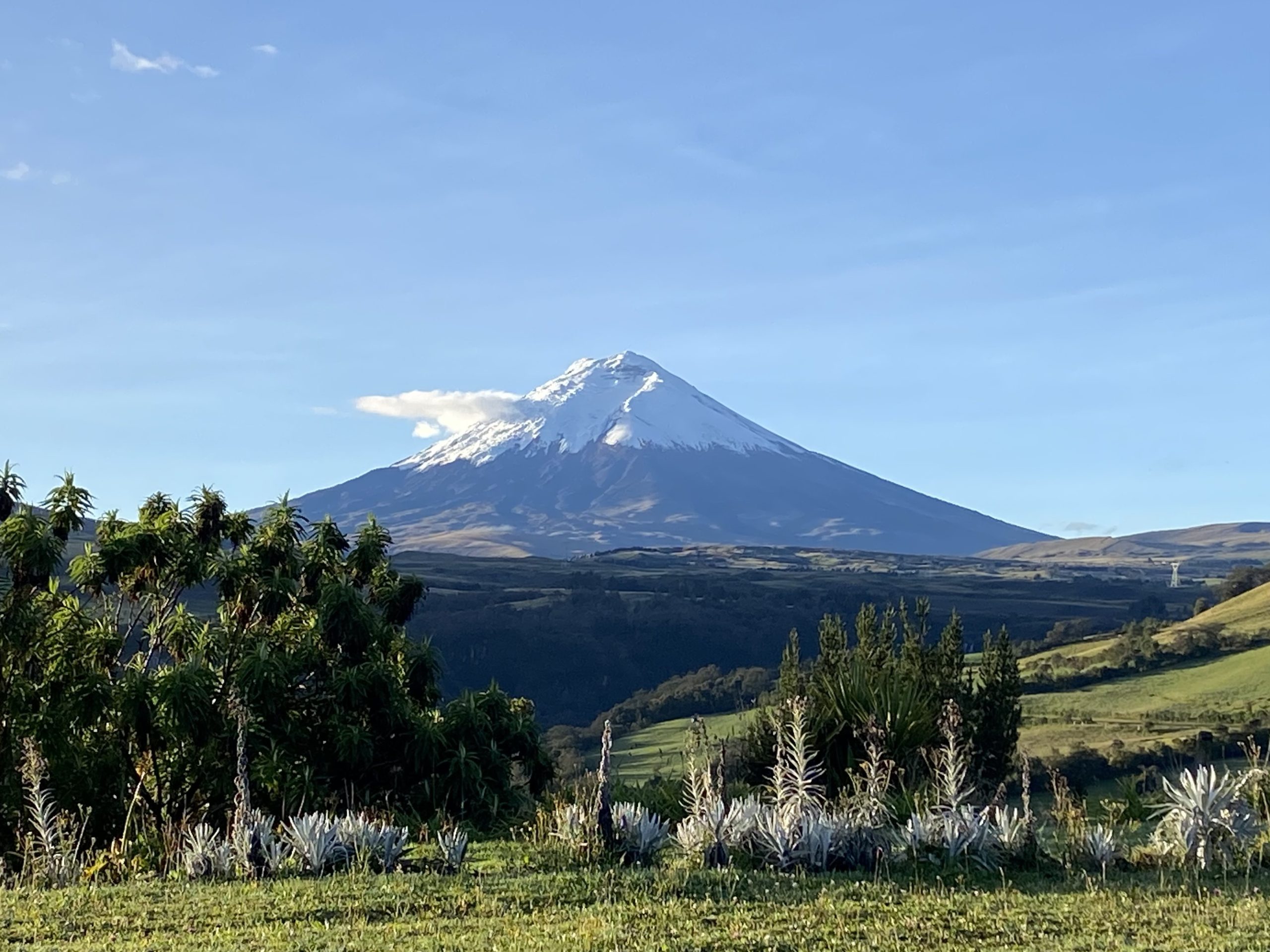 Cotopaxi